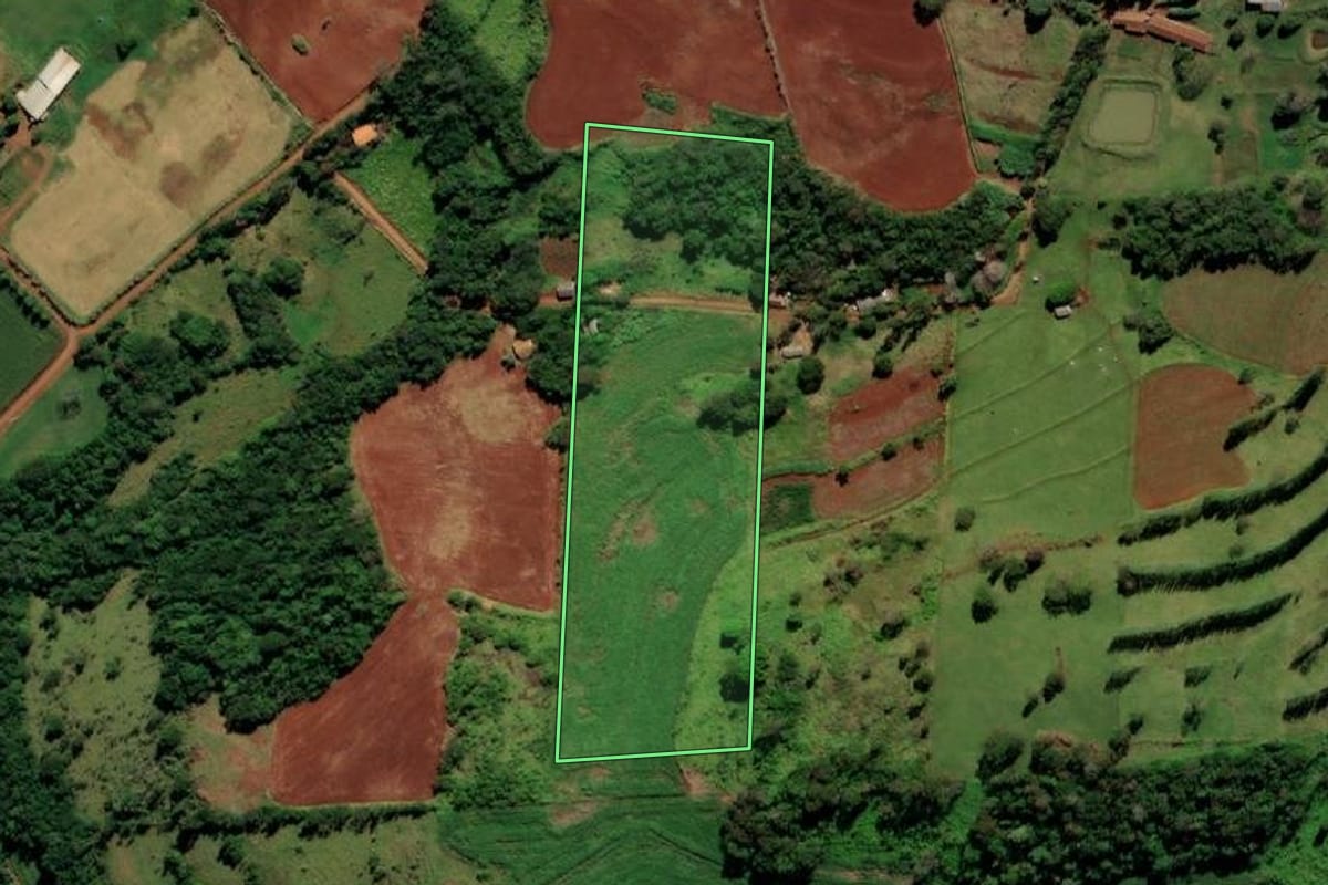 Imagem de satélite do imóvel rural em Missal (PR), com o contorno declarado no CAR desenhado por cima.