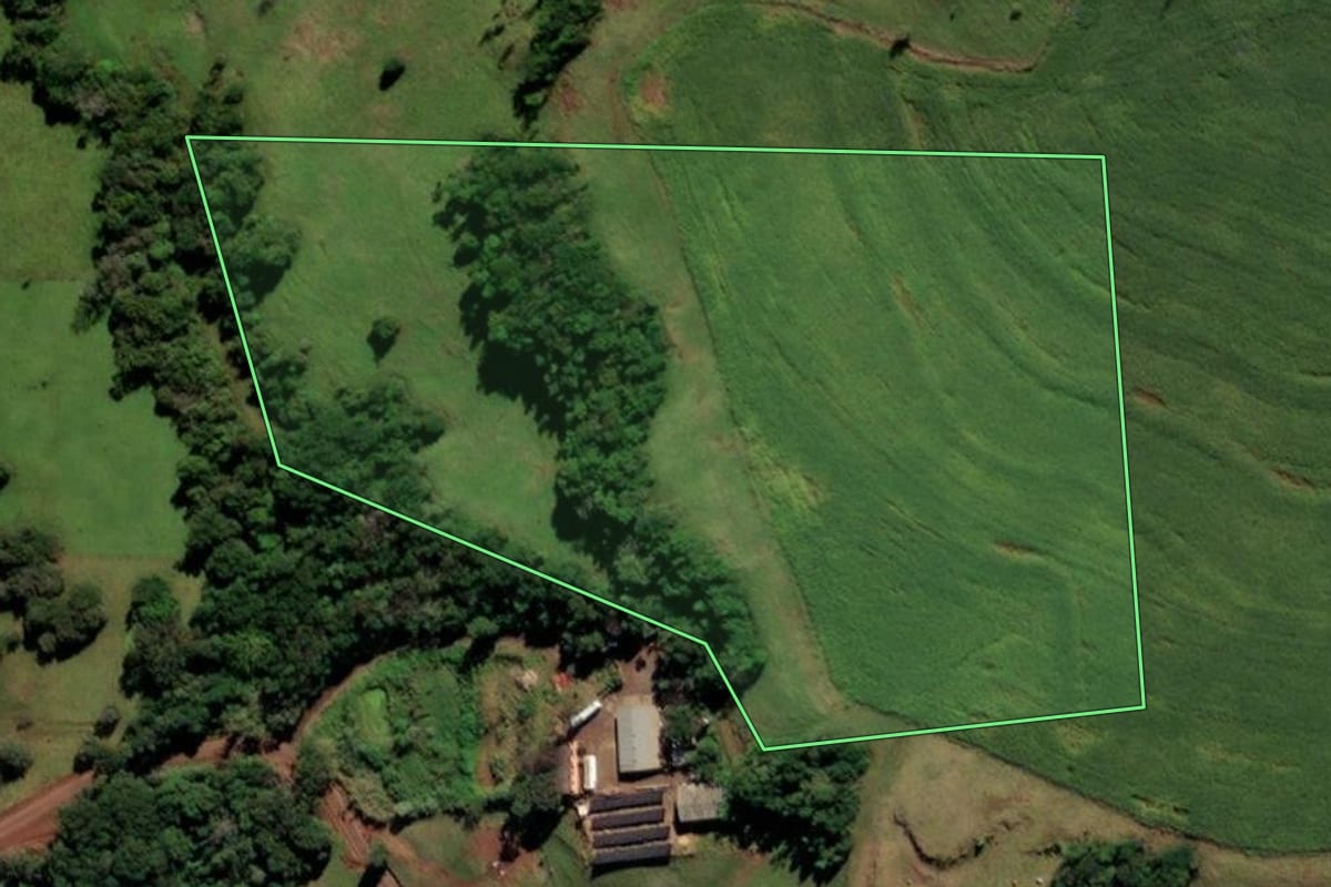 Imagem de satélite do imóvel rural em Missal (PR), com o contorno declarado no CAR desenhado por cima.