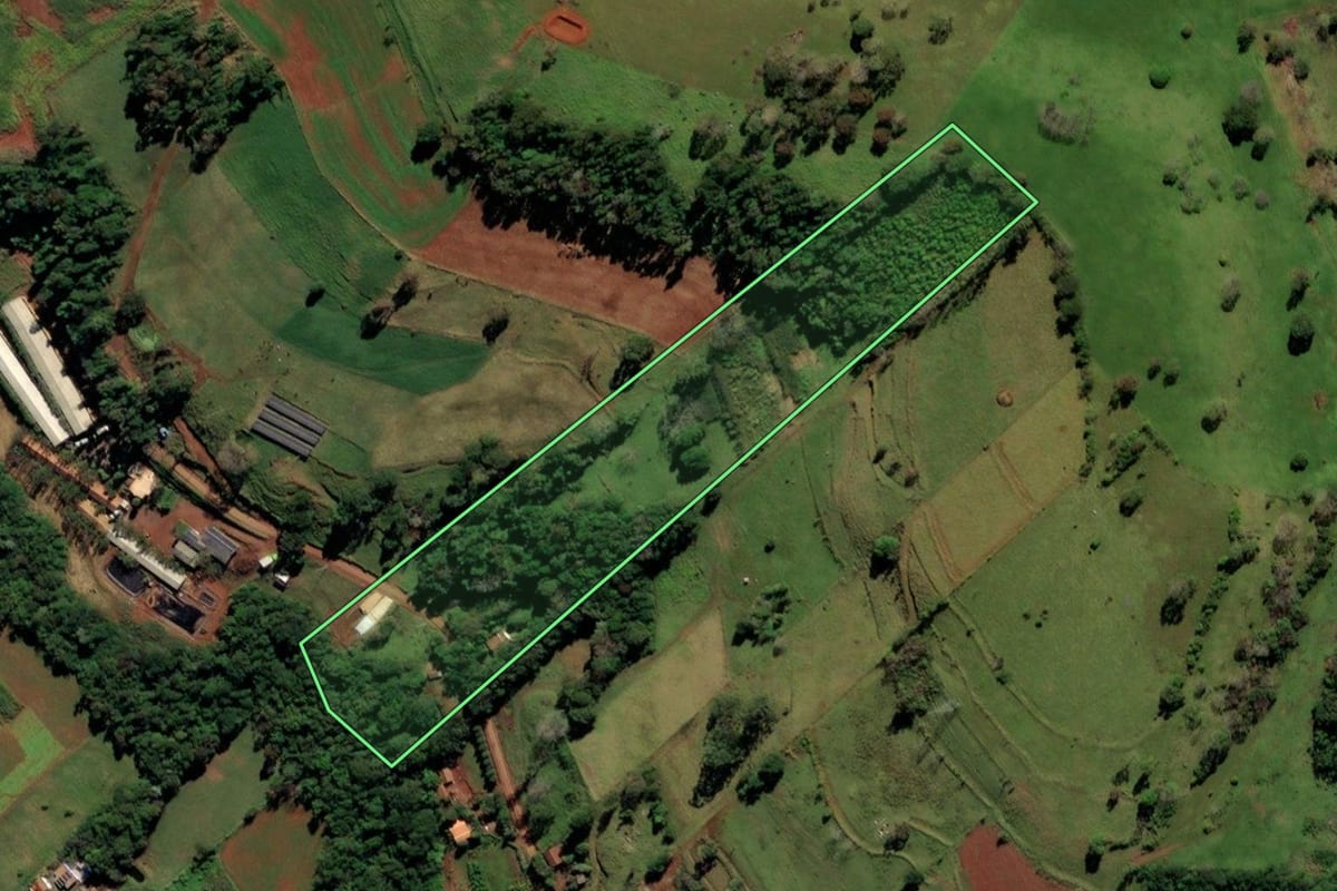 Imagem de satélite do imóvel rural em Missal (PR), com o contorno declarado no CAR desenhado por cima.