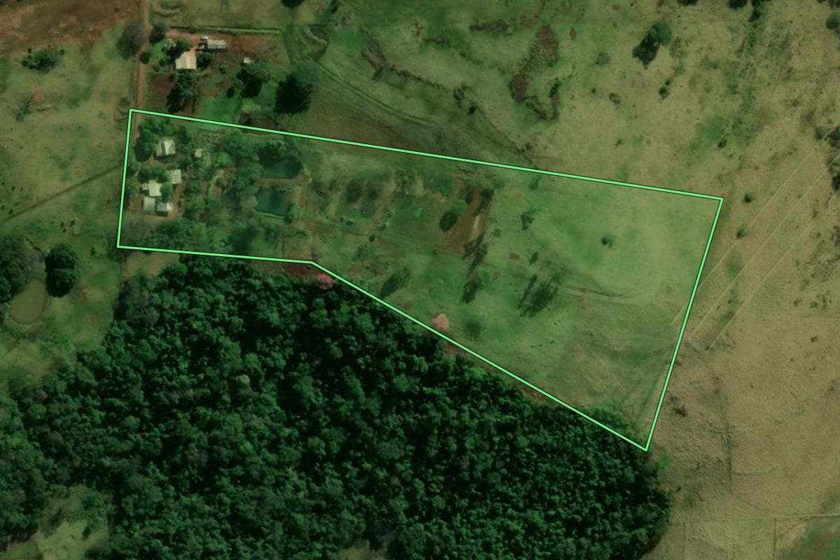 Imagem de satélite do imóvel rural em Missal (PR), com o contorno declarado no CAR desenhado por cima.