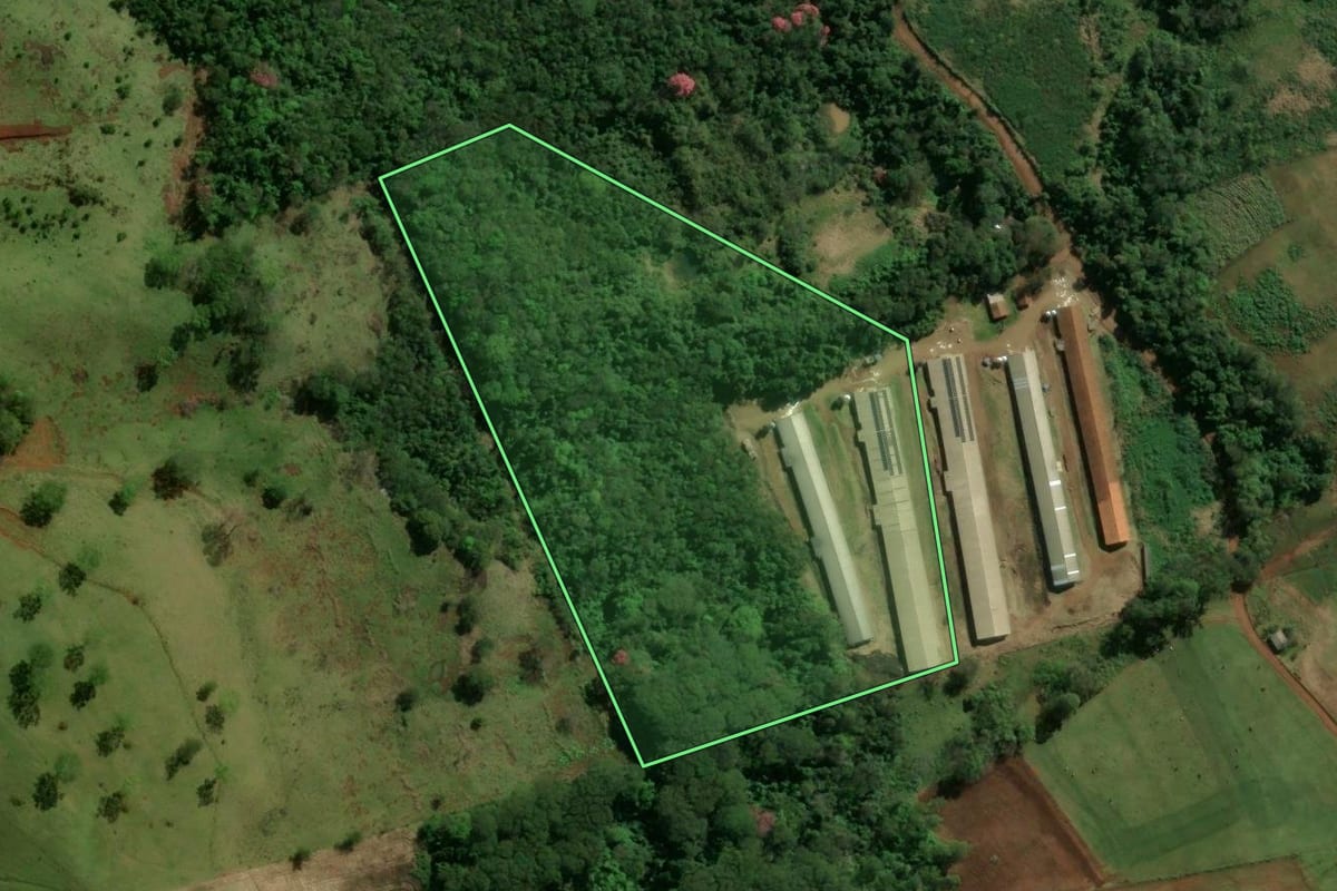 Imagem de satélite do imóvel rural em Missal (PR), com o contorno declarado no CAR desenhado por cima.