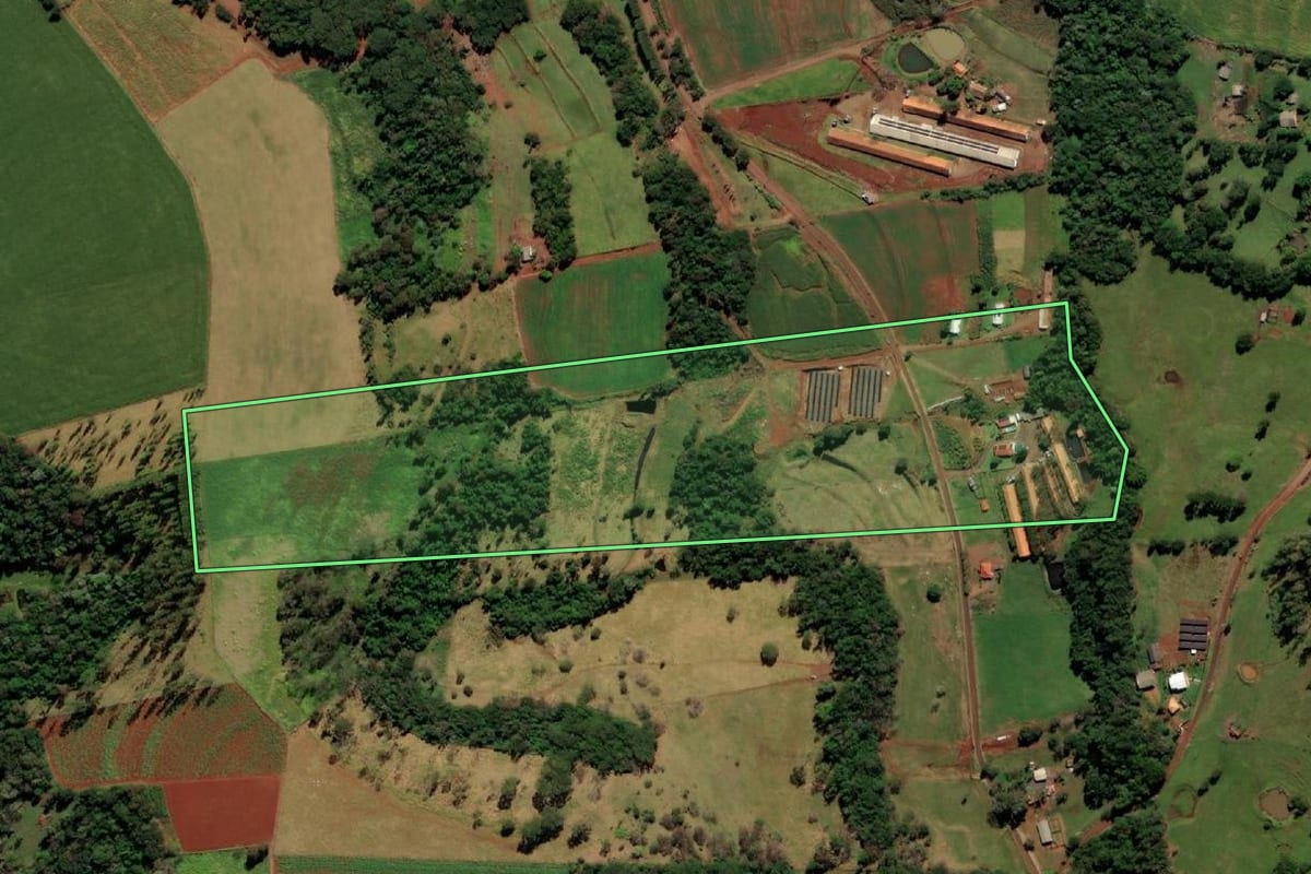 Imagem de satélite do imóvel rural em Missal (PR), com o contorno declarado no CAR desenhado por cima.