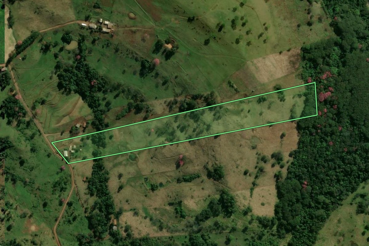 Imagem de satélite do imóvel rural em Missal (PR), com o contorno declarado no CAR desenhado por cima.