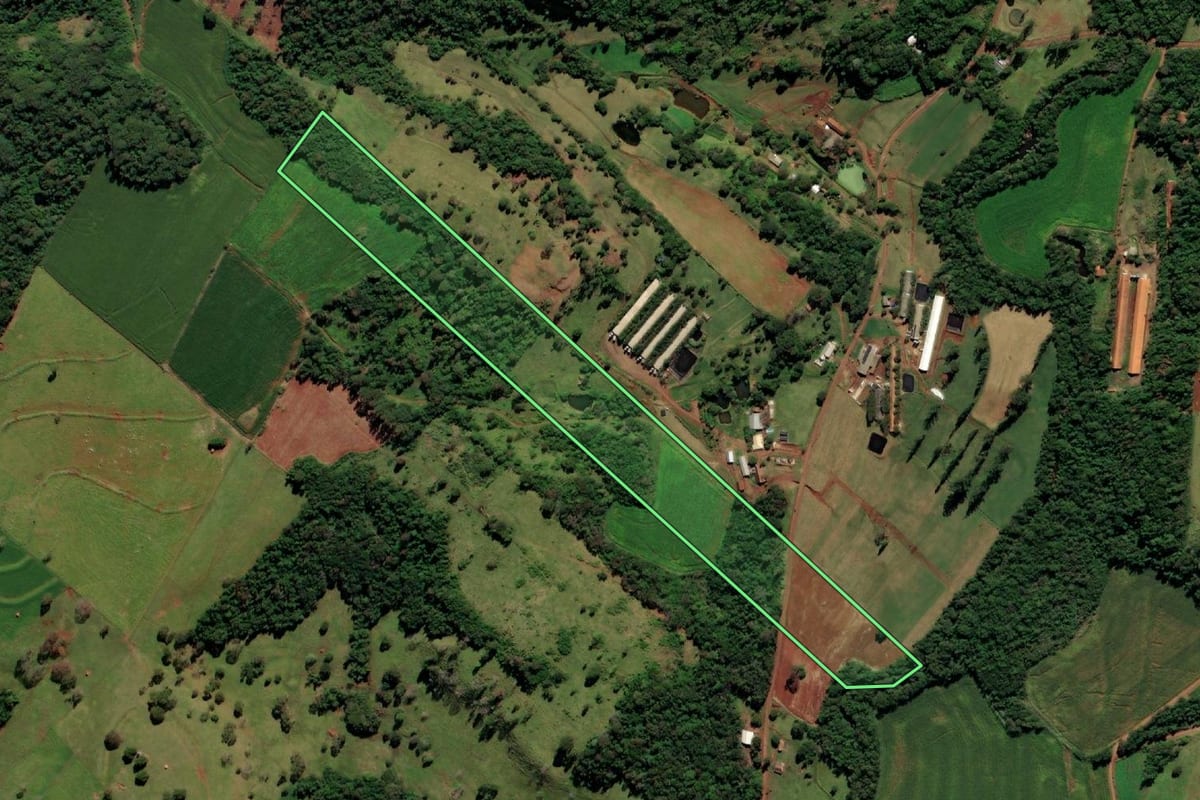 Imagem de satélite do imóvel rural em Missal (PR), com o contorno declarado no CAR desenhado por cima.