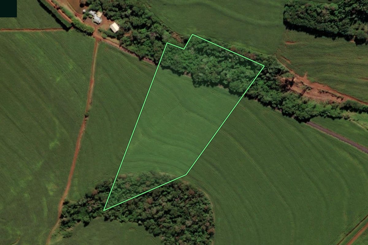 Imagem de satélite do imóvel rural em Missal (PR), com o contorno declarado no CAR desenhado por cima.