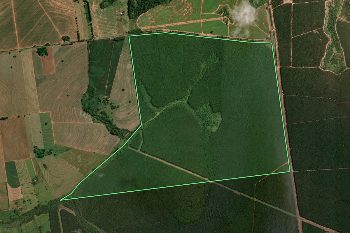 Imagem de satélite do imóvel rural em Moreira Sales (PR), com o contorno declarado no CAR desenhado por cima.