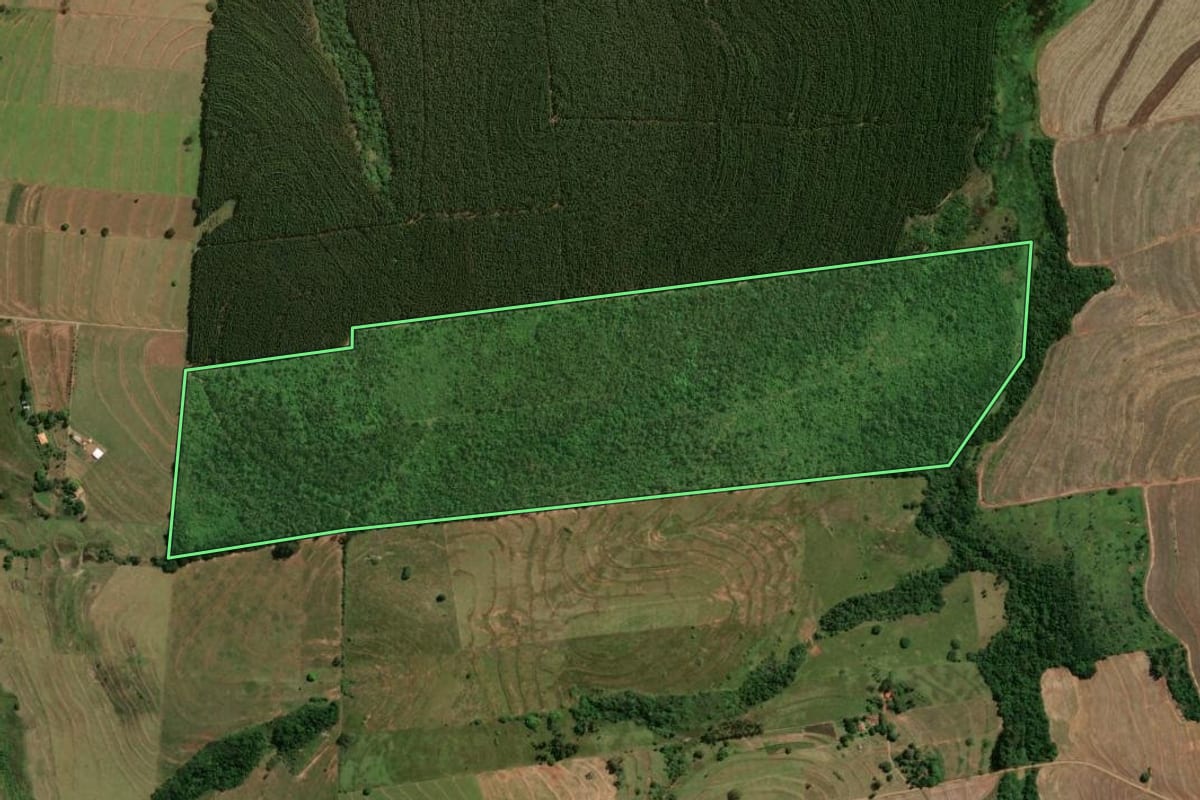 Imagem de satélite do imóvel rural em Moreira Sales (PR), com o contorno declarado no CAR desenhado por cima.