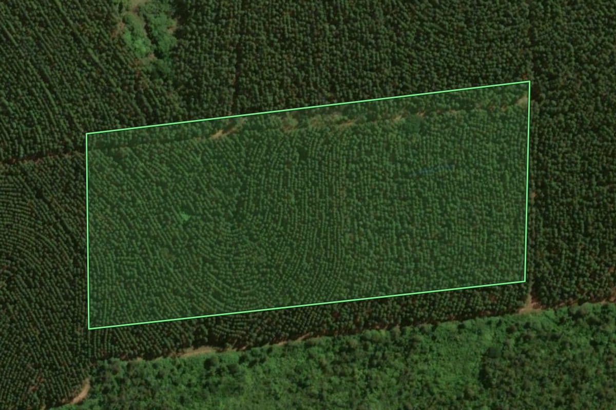 Imagem de satélite do imóvel rural em Moreira Sales (PR), com o contorno declarado no CAR desenhado por cima.