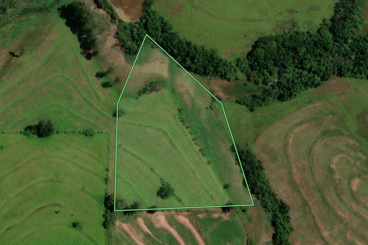 Imagem de satélite do imóvel rural em Moreira Sales (PR), com o contorno declarado no CAR desenhado por cima.