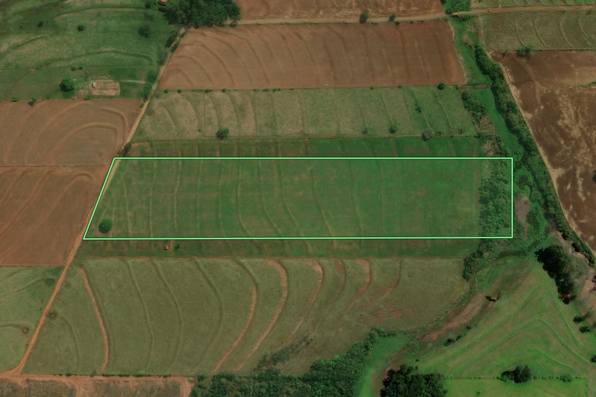 Imagem de satélite do imóvel rural em Moreira Sales (PR), com o contorno declarado no CAR desenhado por cima.