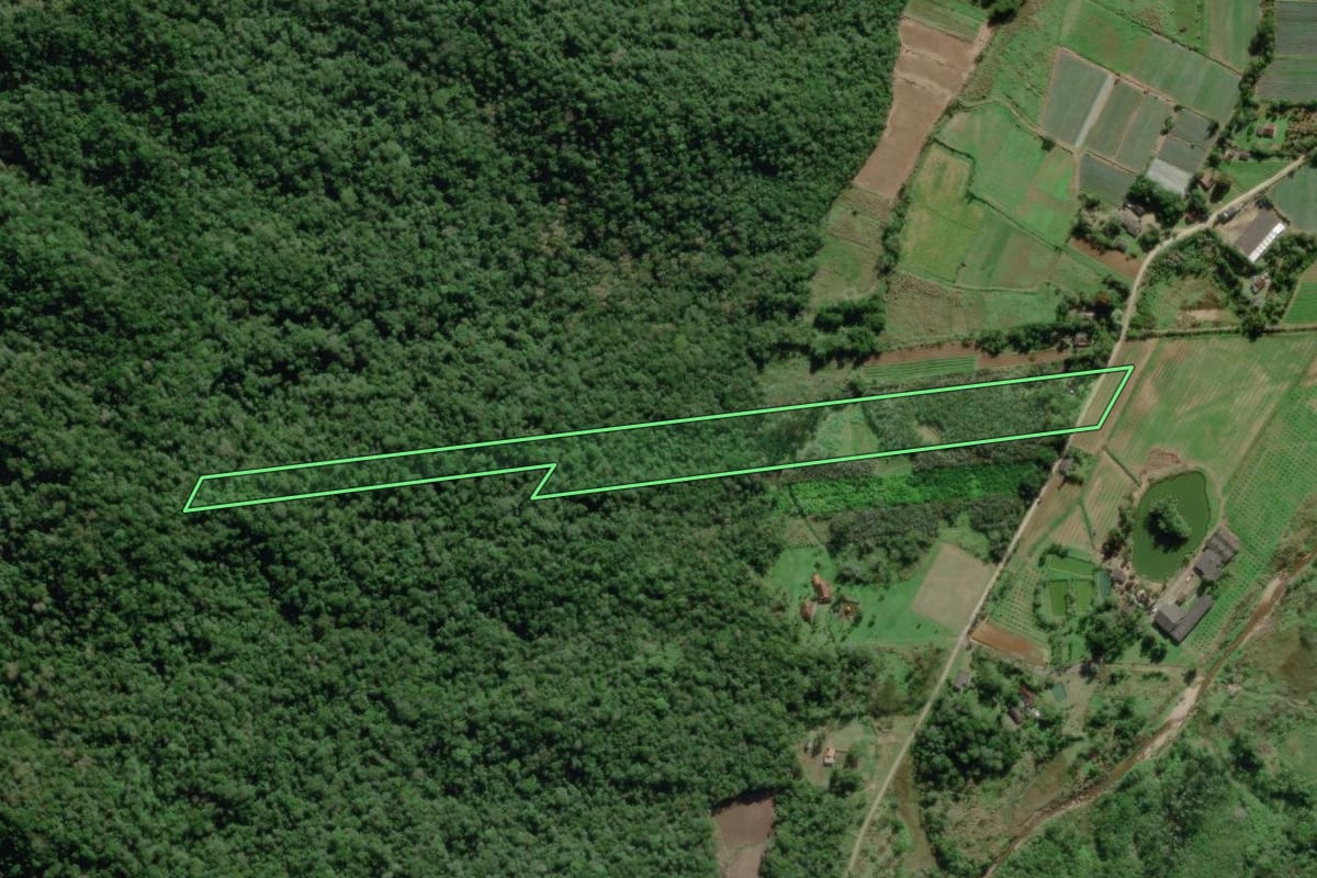 Imagem de satélite do imóvel rural em Morretes (PR), com o contorno declarado no CAR desenhado por cima.