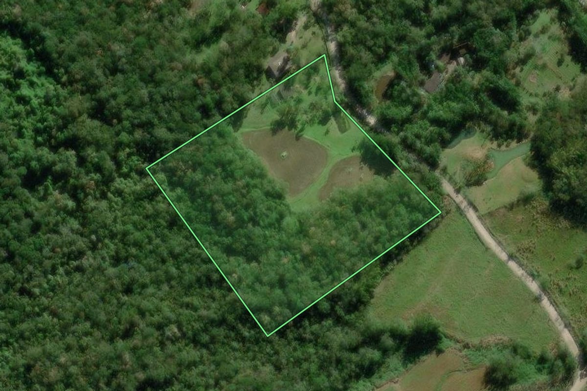 Imagem de satélite do imóvel rural em Morretes (PR), com o contorno declarado no CAR desenhado por cima.