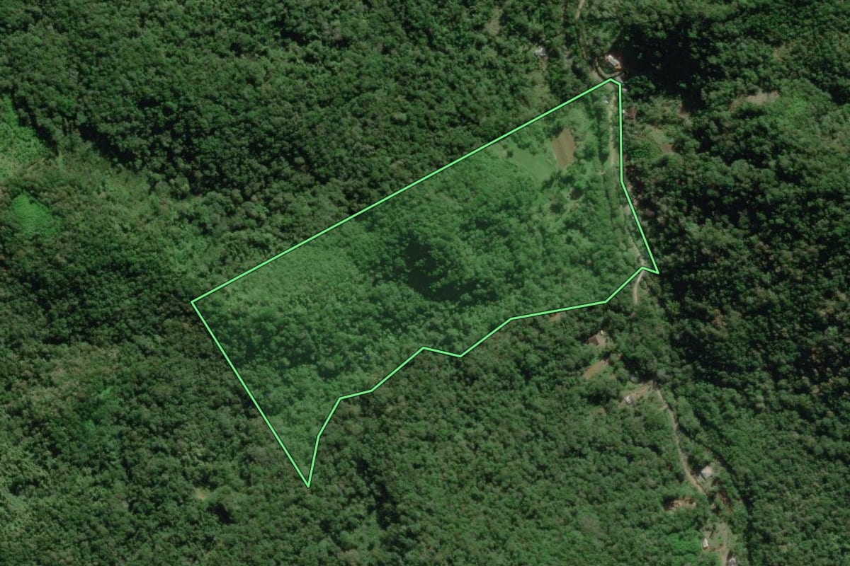 Imagem de satélite do imóvel rural em Morretes (PR), com o contorno declarado no CAR desenhado por cima.