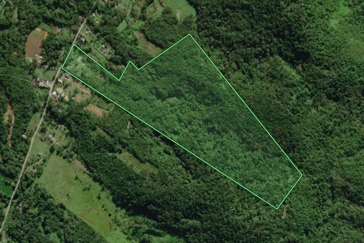Imagem de satélite do imóvel rural em Morretes (PR), com o contorno declarado no CAR desenhado por cima.