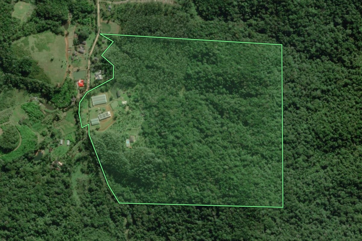 Imagem de satélite do imóvel rural em Morretes (PR), com o contorno declarado no CAR desenhado por cima.
