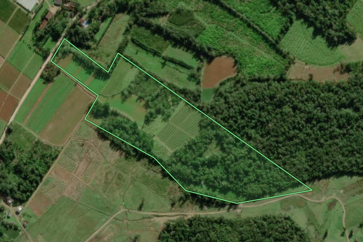Imagem de satélite do imóvel rural em Morretes (PR), com o contorno declarado no CAR desenhado por cima.