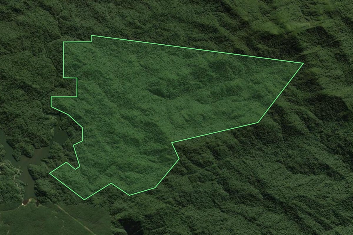 Imagem de satélite do imóvel rural em Morretes (PR), com o contorno declarado no CAR desenhado por cima.