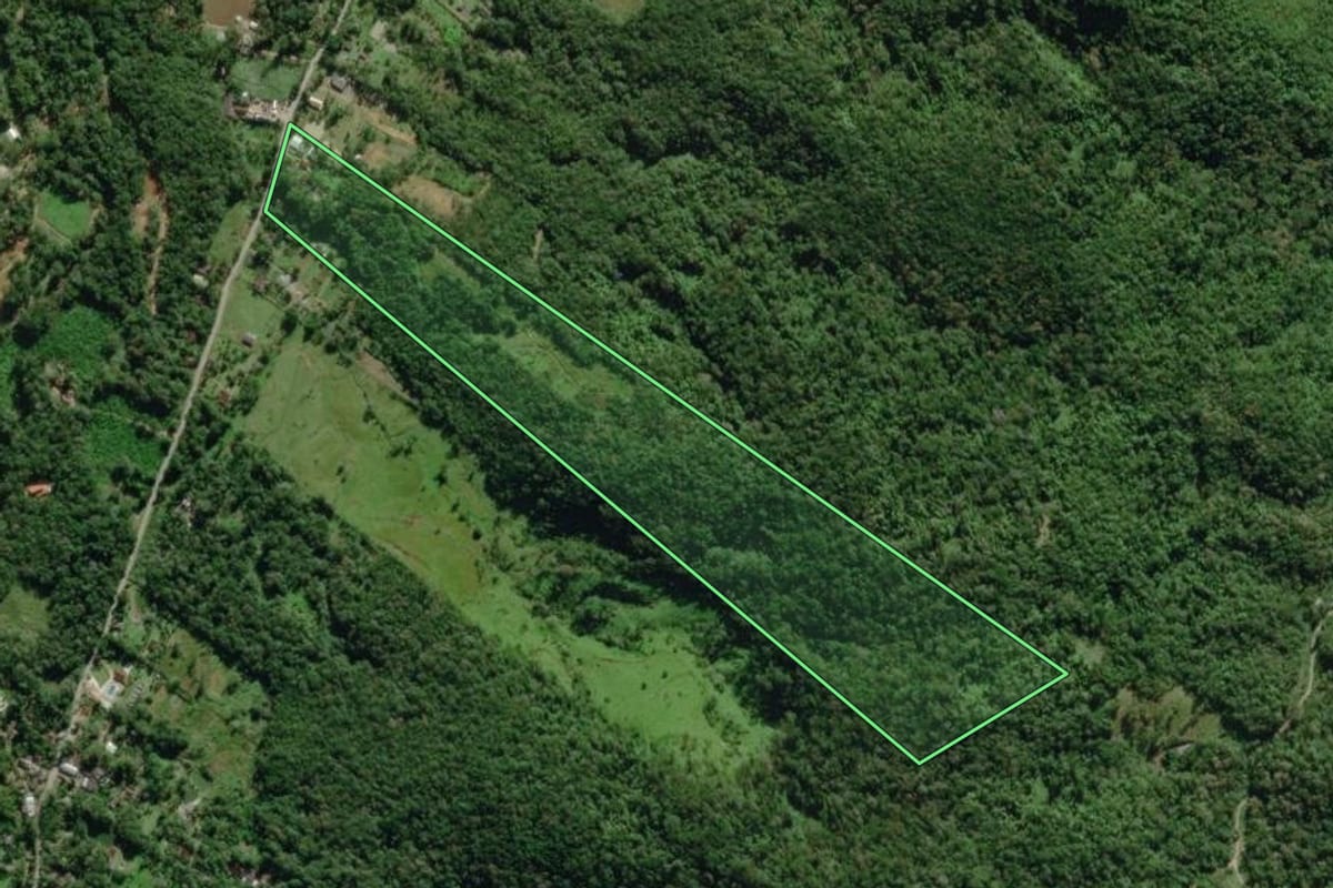 Imagem de satélite do imóvel rural em Morretes (PR), com o contorno declarado no CAR desenhado por cima.