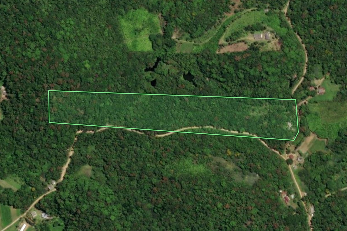 Imagem de satélite do imóvel rural em Morretes (PR), com o contorno declarado no CAR desenhado por cima.