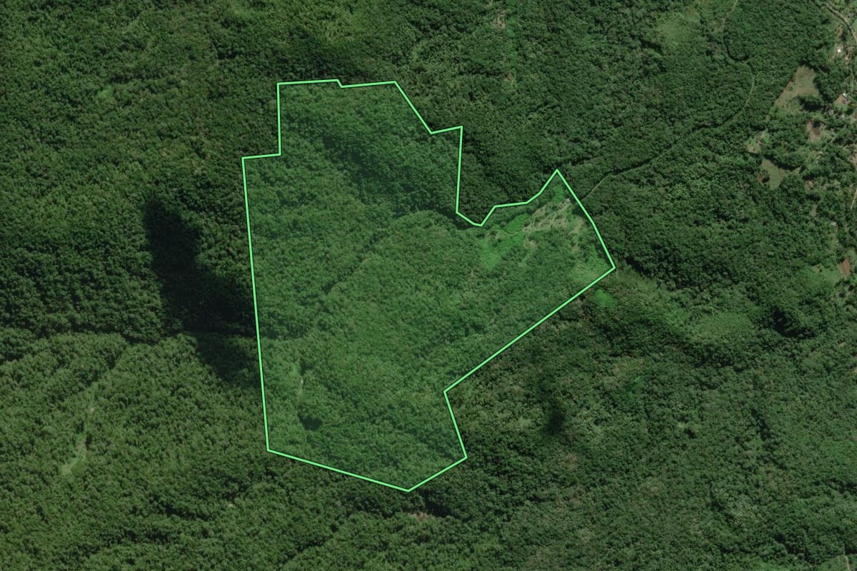 Imagem de satélite do imóvel rural em Morretes (PR), com o contorno declarado no CAR desenhado por cima.