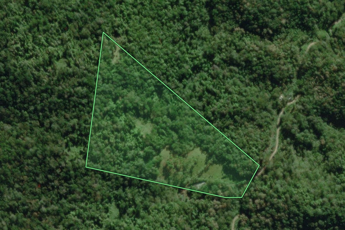 Imagem de satélite do imóvel rural em Morretes (PR), com o contorno declarado no CAR desenhado por cima.