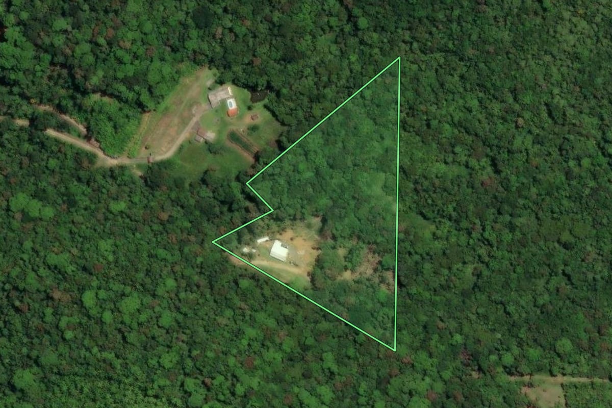 Imagem de satélite do imóvel rural em Morretes (PR), com o contorno declarado no CAR desenhado por cima.