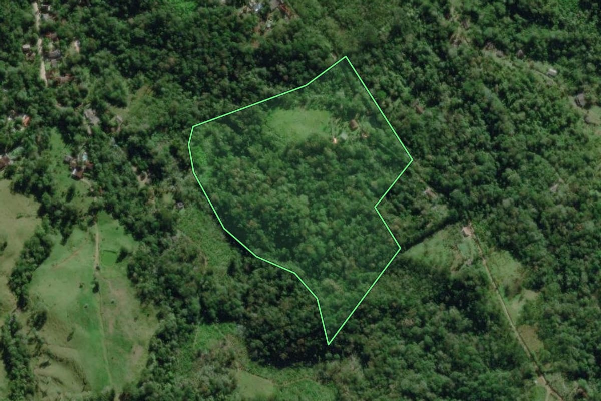 Imagem de satélite do imóvel rural em Morretes (PR), com o contorno declarado no CAR desenhado por cima.