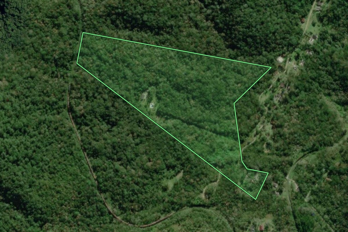 Imagem de satélite do imóvel rural em Morretes (PR), com o contorno declarado no CAR desenhado por cima.