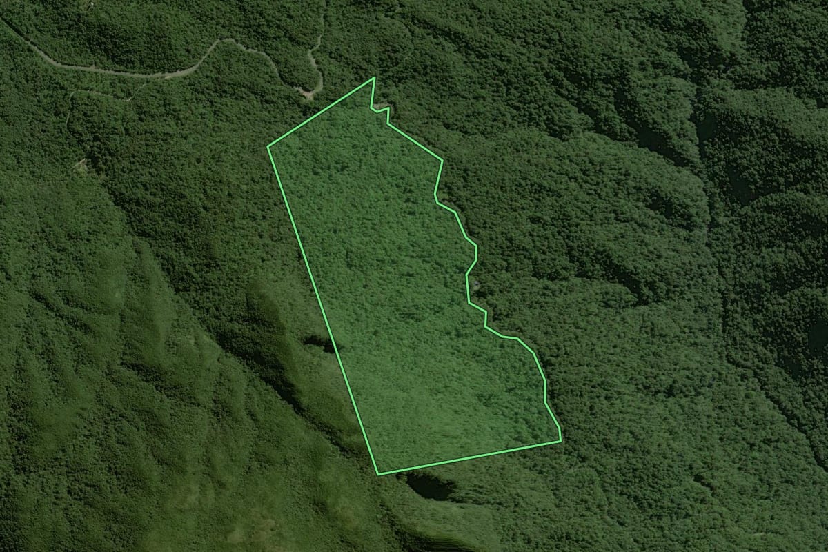 Imagem de satélite do imóvel rural em Morretes (PR), com o contorno declarado no CAR desenhado por cima.