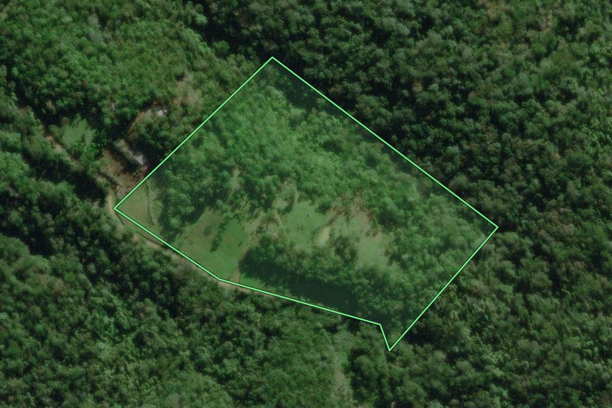 Imagem de satélite do imóvel rural em Morretes (PR), com o contorno declarado no CAR desenhado por cima.
