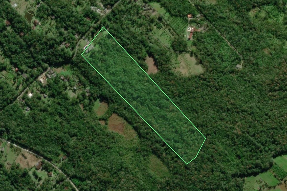 Imagem de satélite do imóvel rural em Morretes (PR), com o contorno declarado no CAR desenhado por cima.