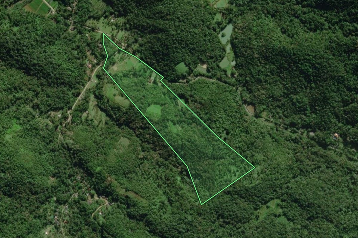 Imagem de satélite do imóvel rural em Morretes (PR), com o contorno declarado no CAR desenhado por cima.