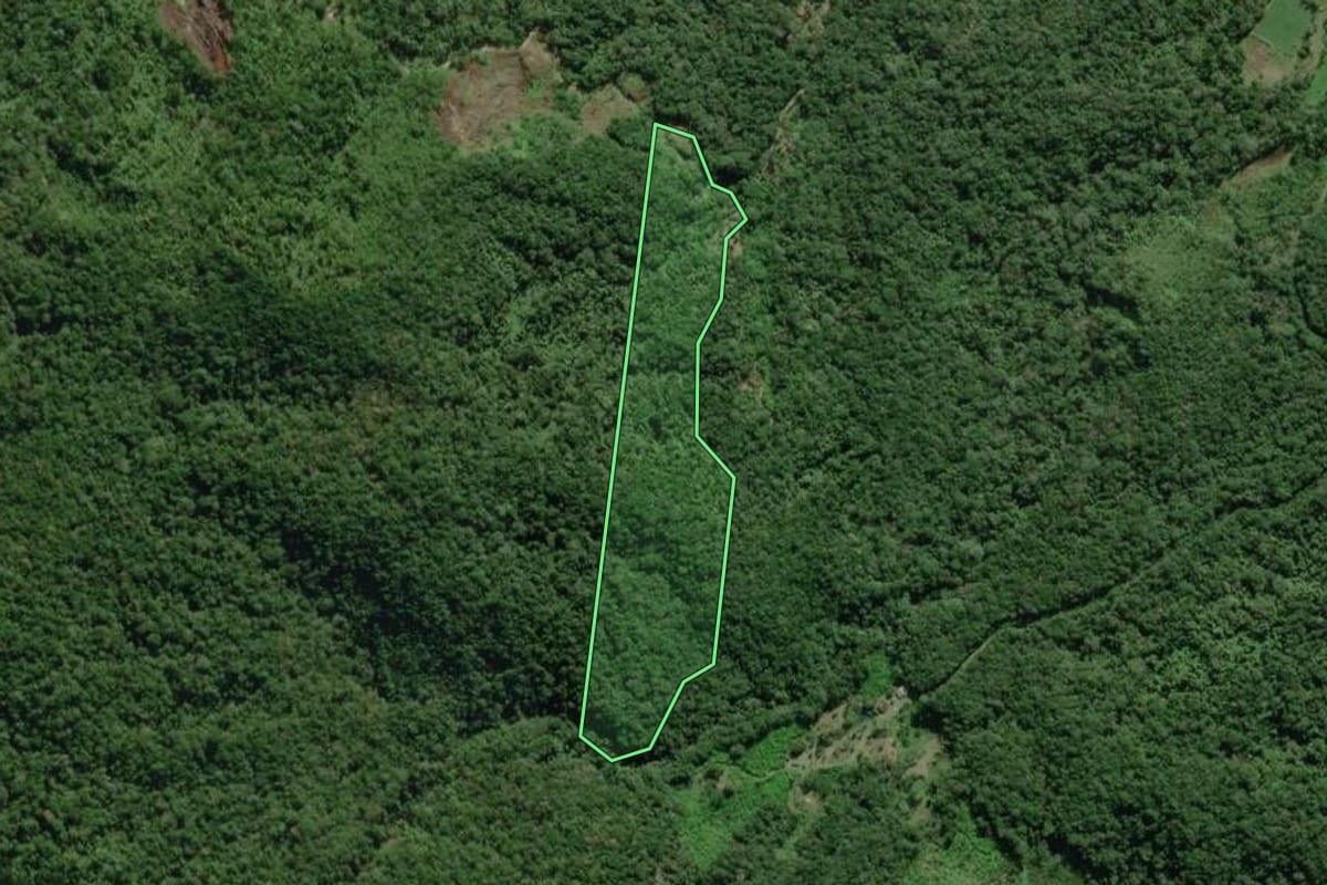 Imagem de satélite do imóvel rural em Morretes (PR), com o contorno declarado no CAR desenhado por cima.