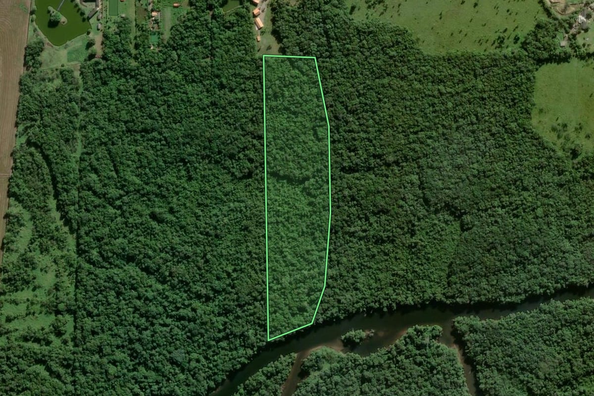 Imagem de satélite do imóvel rural em Morretes (PR), com o contorno declarado no CAR desenhado por cima.