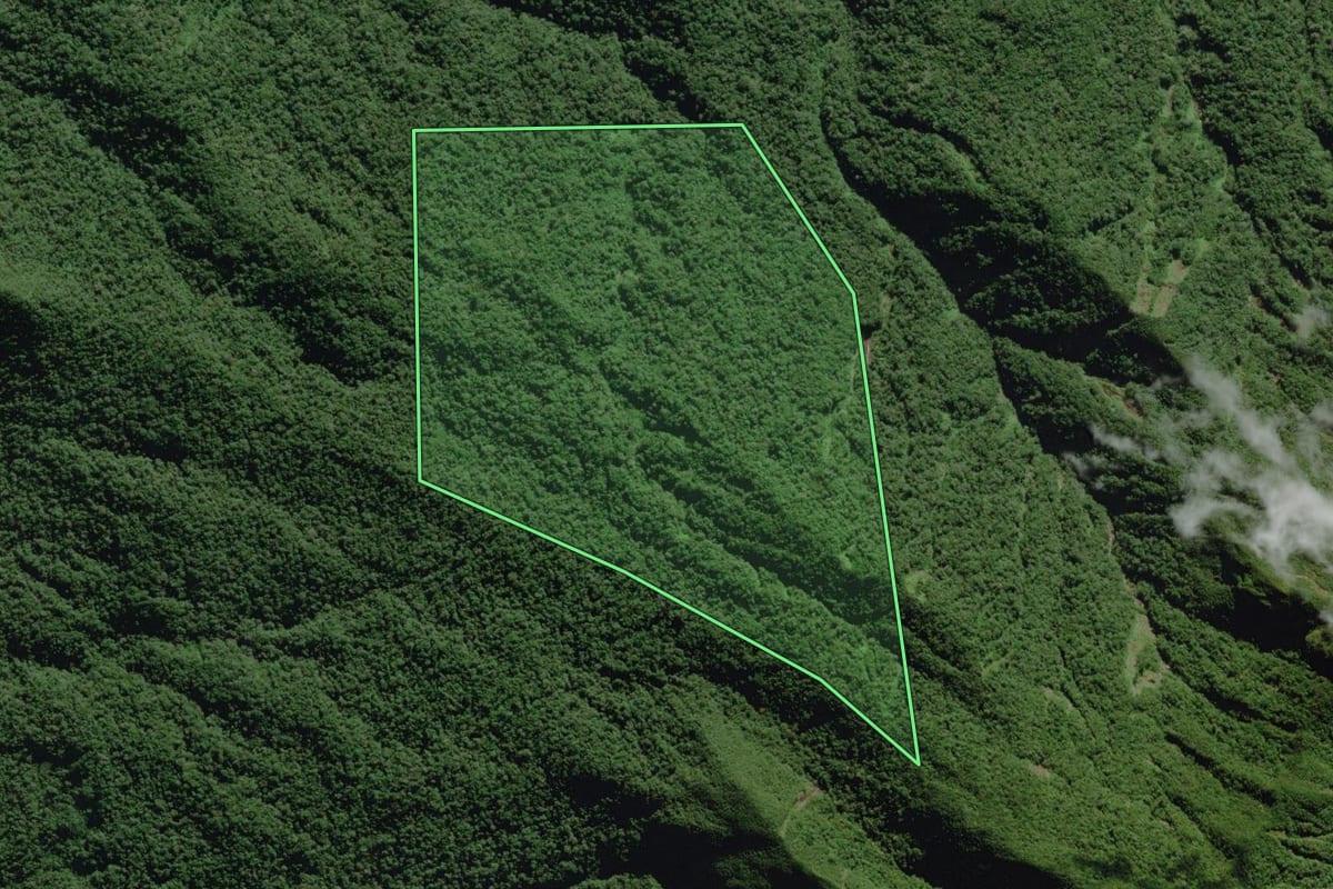 Imagem de satélite do imóvel rural em Morretes (PR), com o contorno declarado no CAR desenhado por cima.