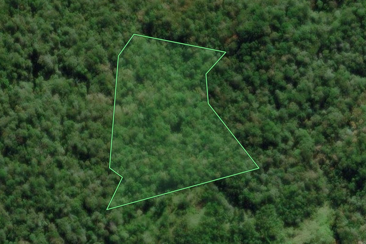 Imagem de satélite do imóvel rural em Morretes (PR), com o contorno declarado no CAR desenhado por cima.