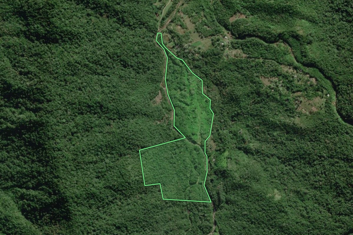 Imagem de satélite do imóvel rural em Morretes (PR), com o contorno declarado no CAR desenhado por cima.