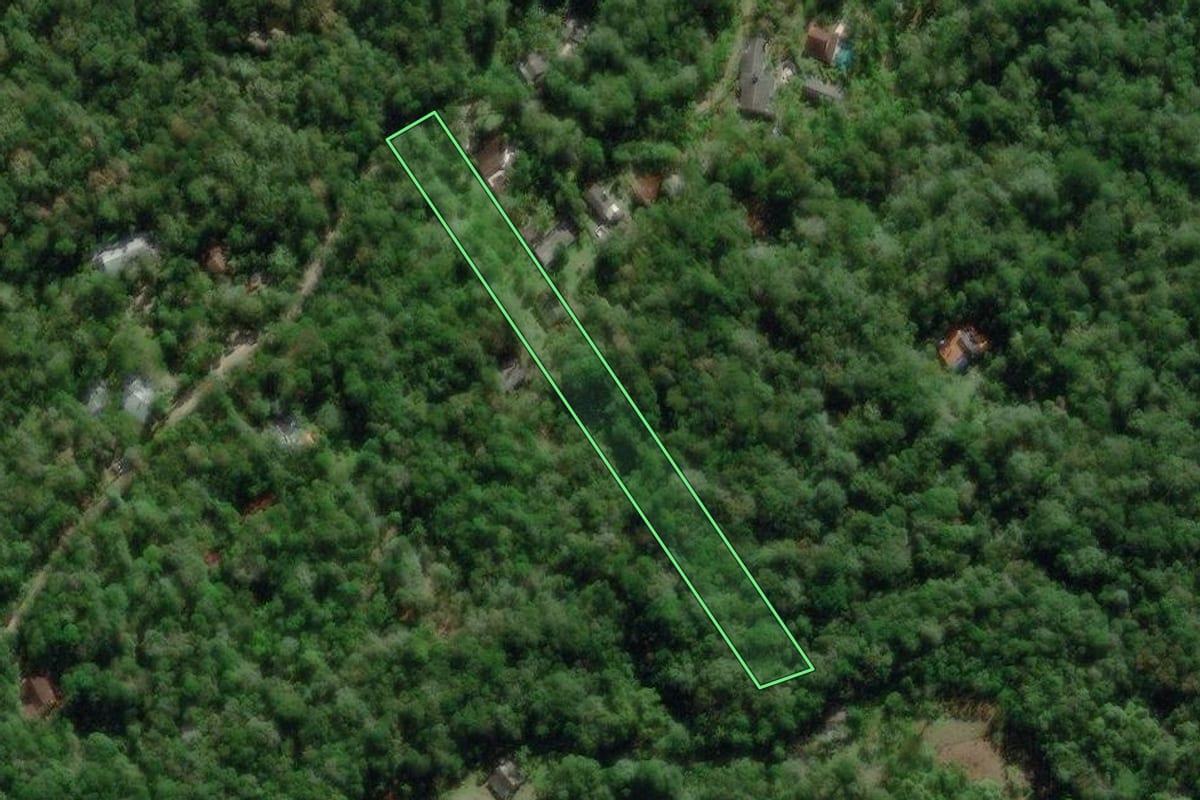 Imagem de satélite do imóvel rural em Morretes (PR), com o contorno declarado no CAR desenhado por cima.