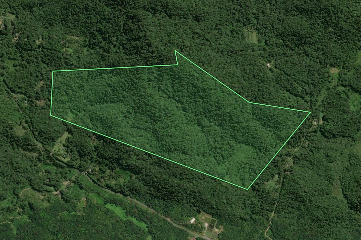 Imagem de satélite do imóvel rural em Morretes (PR), com o contorno declarado no CAR desenhado por cima.