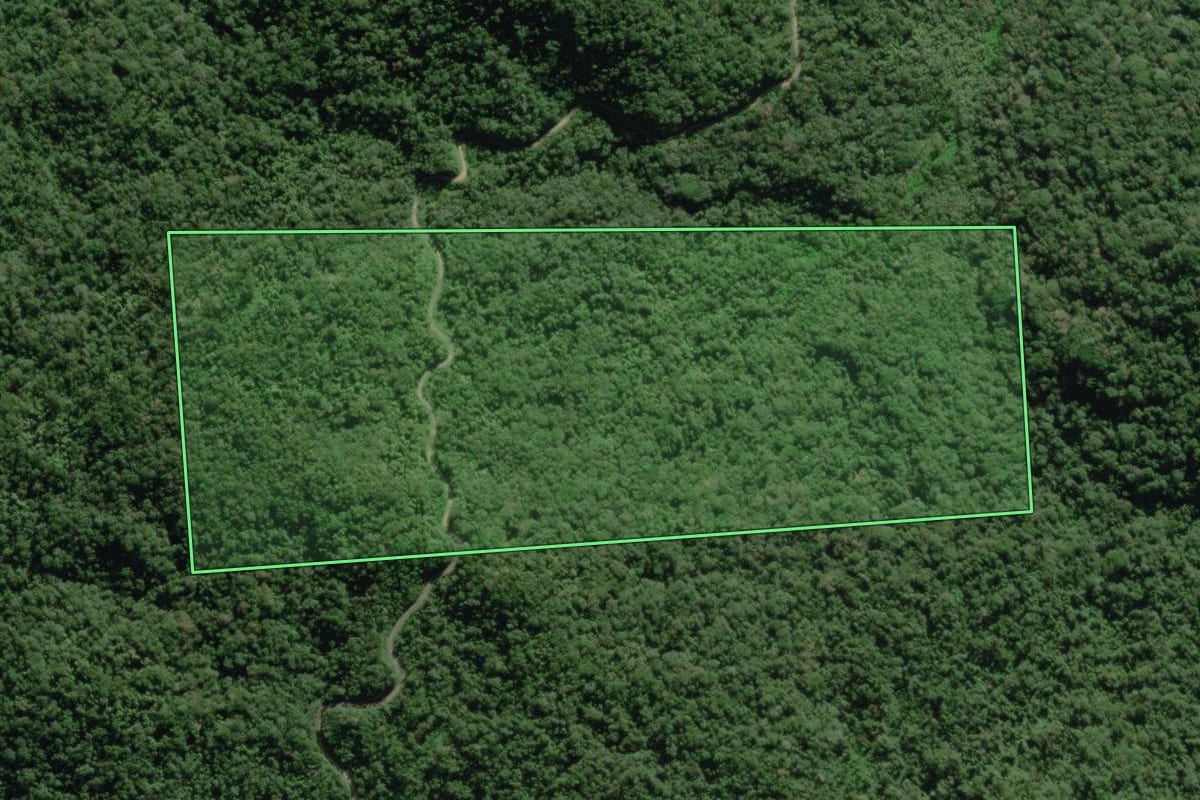 Imagem de satélite do imóvel rural em Morretes (PR), com o contorno declarado no CAR desenhado por cima.