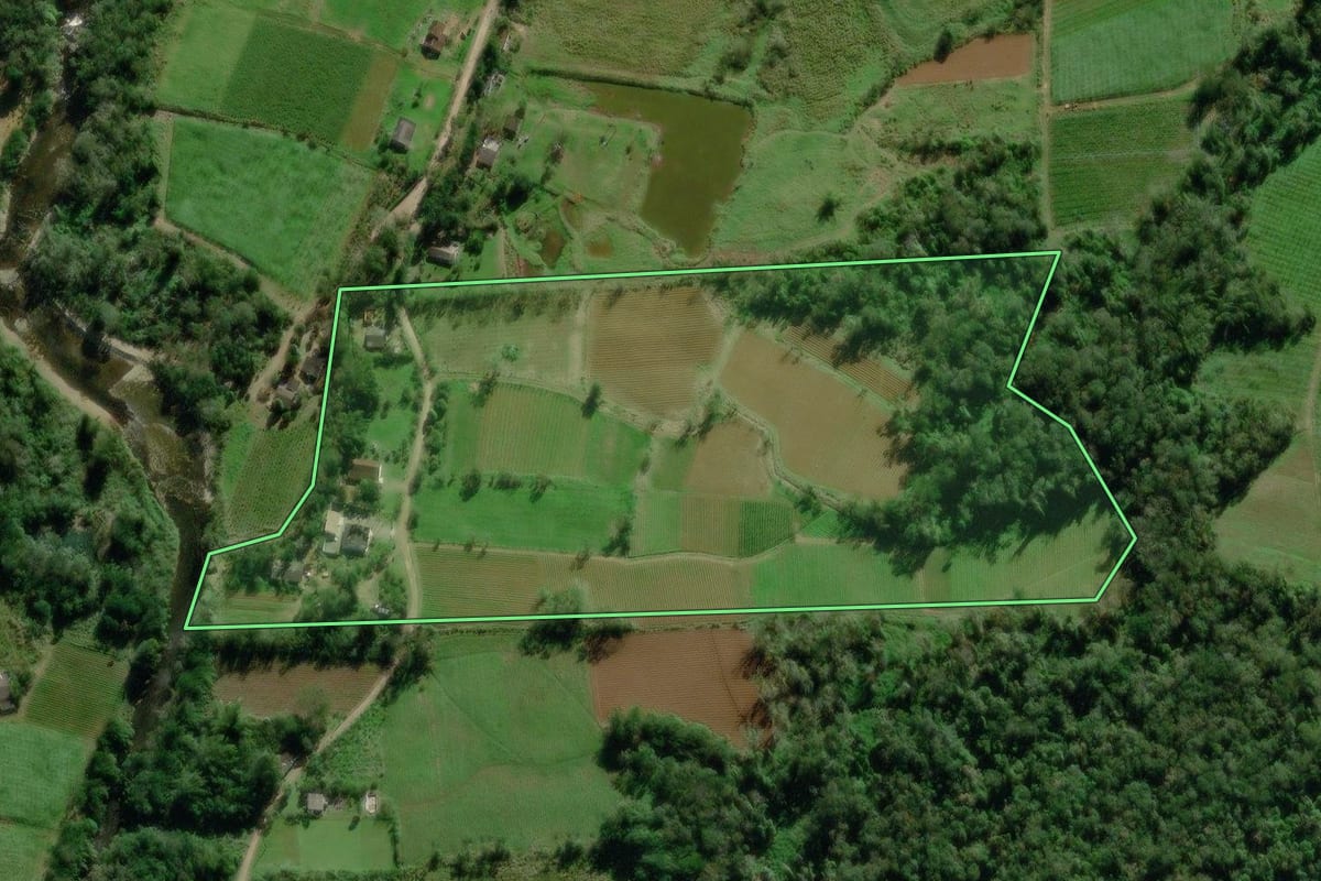 Imagem de satélite do imóvel rural em Morretes (PR), com o contorno declarado no CAR desenhado por cima.