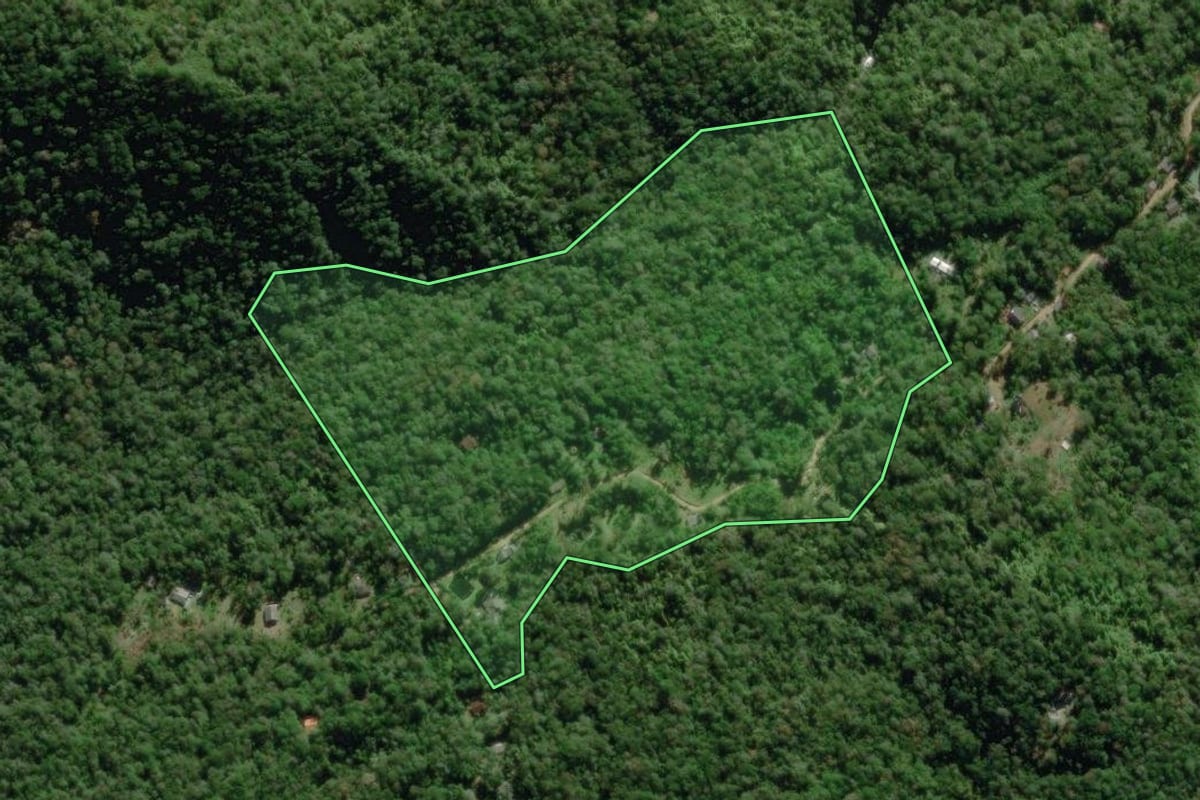 Imagem de satélite do imóvel rural em Morretes (PR), com o contorno declarado no CAR desenhado por cima.