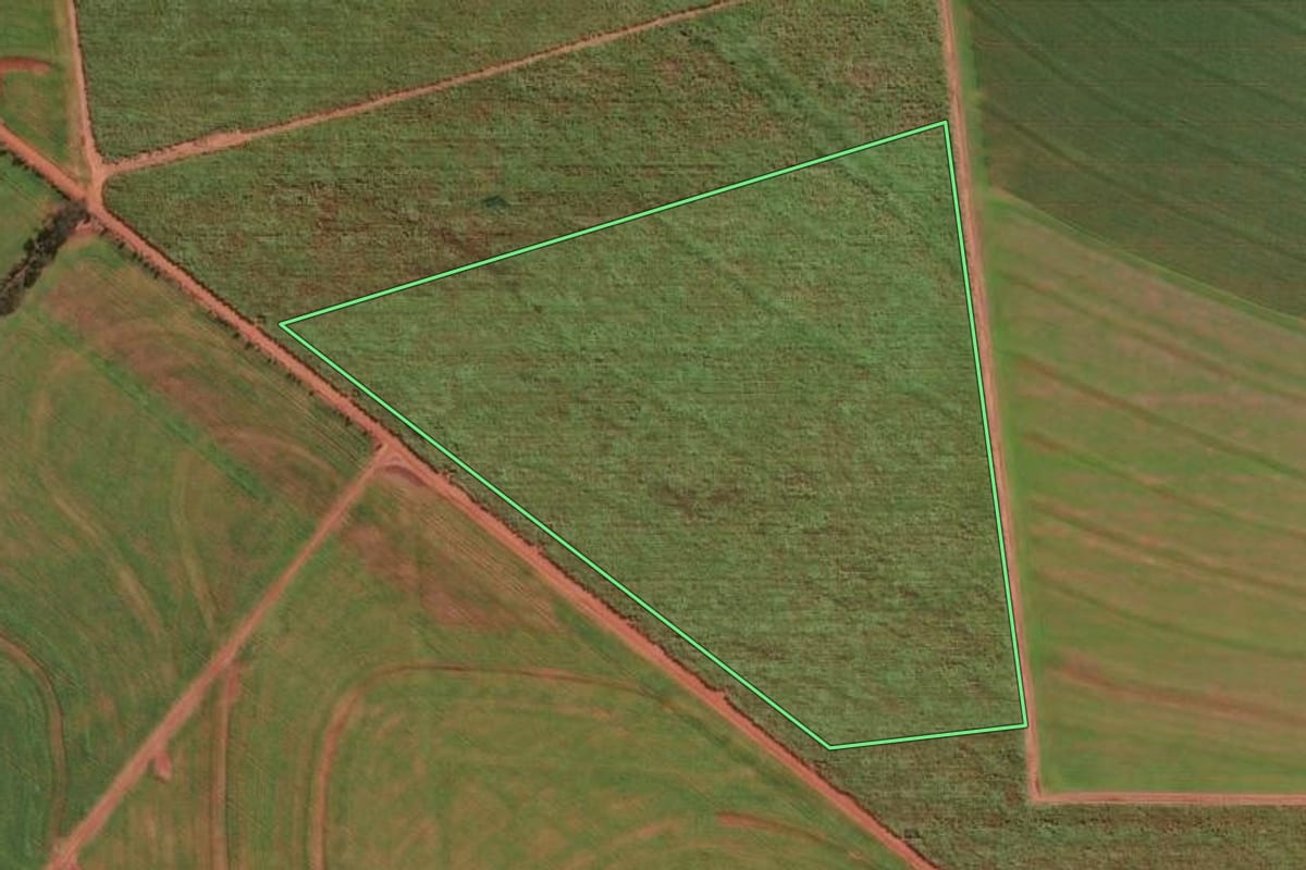 Imagem de satélite do imóvel rural em Munhoz de Melo (PR), com o contorno declarado no CAR desenhado por cima.