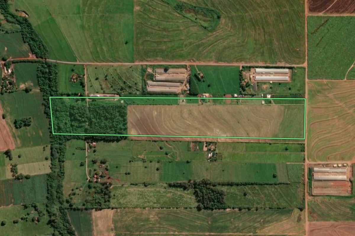 Imagem de satélite do imóvel rural em Munhoz de Melo (PR), com o contorno declarado no CAR desenhado por cima.