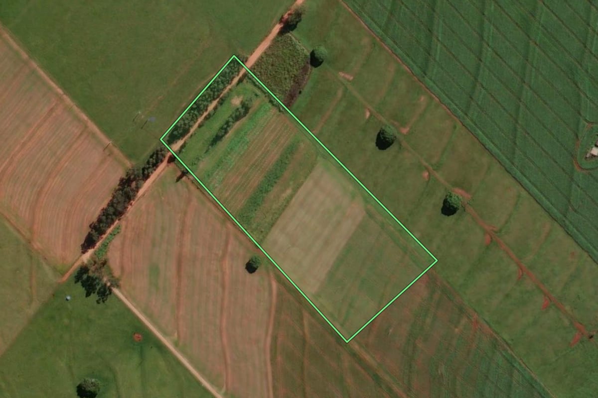 Imagem de satélite do imóvel rural em Munhoz de Melo (PR), com o contorno declarado no CAR desenhado por cima.