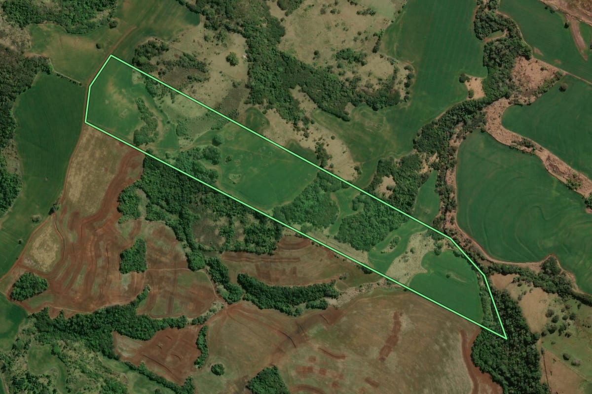 Imagem de satélite do imóvel rural em Nova América da Colina (PR), com o contorno declarado no CAR desenhado por cima.