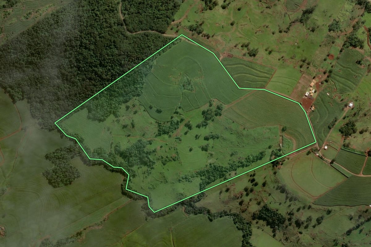 Imagem de satélite do imóvel rural em Nova Aurora (PR), com o contorno declarado no CAR desenhado por cima.
