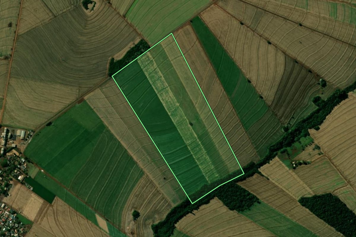Imagem de satélite do imóvel rural em Nova Aurora (PR), com o contorno declarado no CAR desenhado por cima.