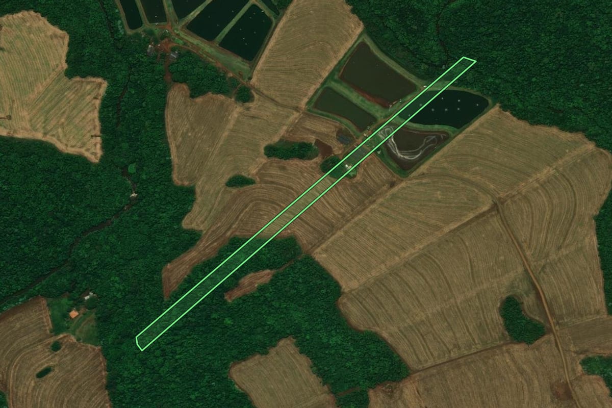 Imagem de satélite do imóvel rural em Nova Aurora (PR), com o contorno declarado no CAR desenhado por cima.