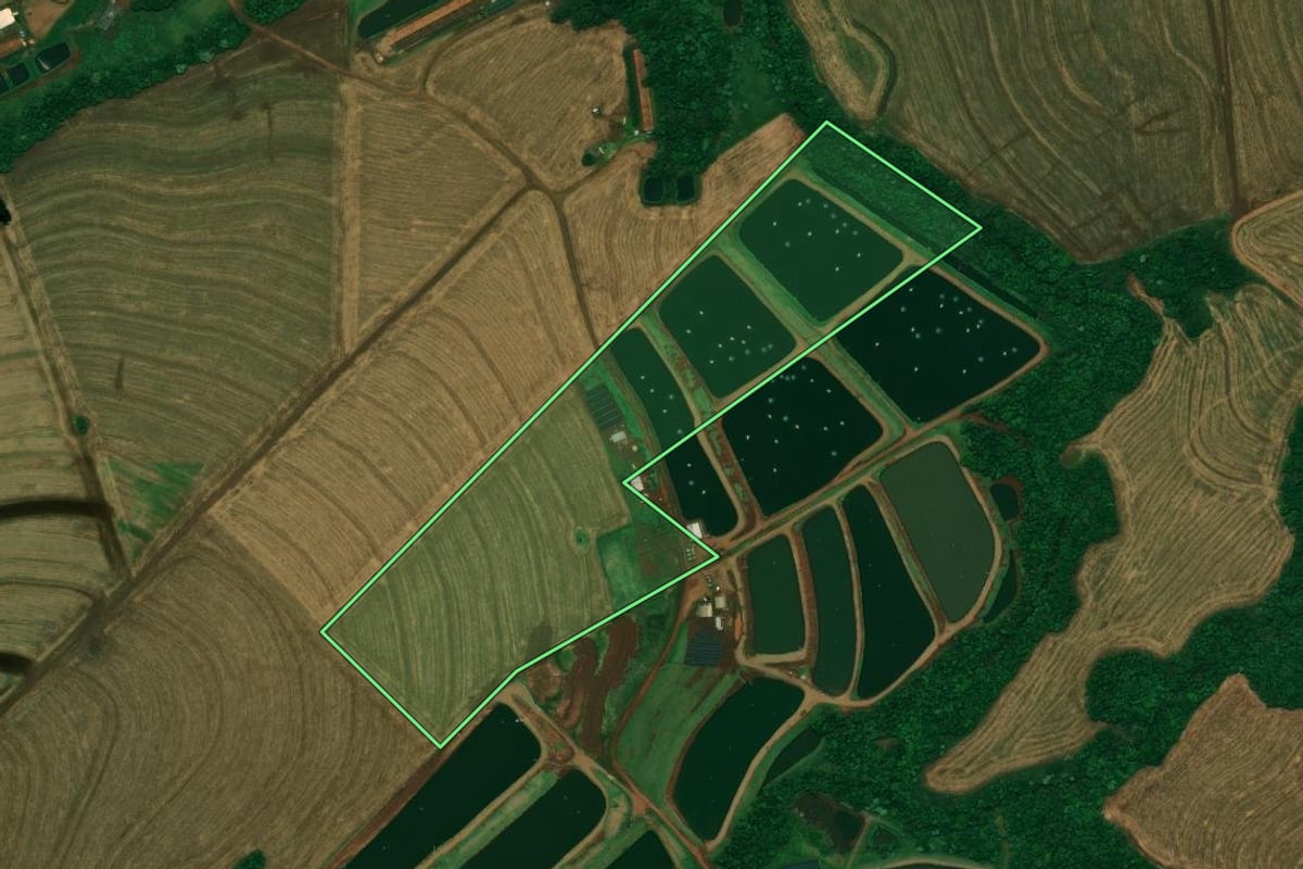 Imagem de satélite do imóvel rural em Nova Aurora (PR), com o contorno declarado no CAR desenhado por cima.